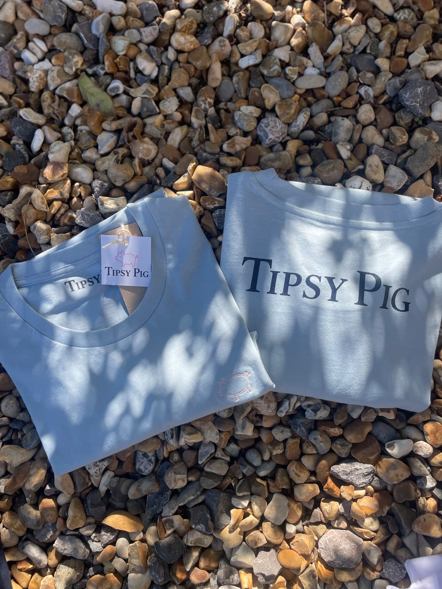 Signature Pig Tee in Blue Pair