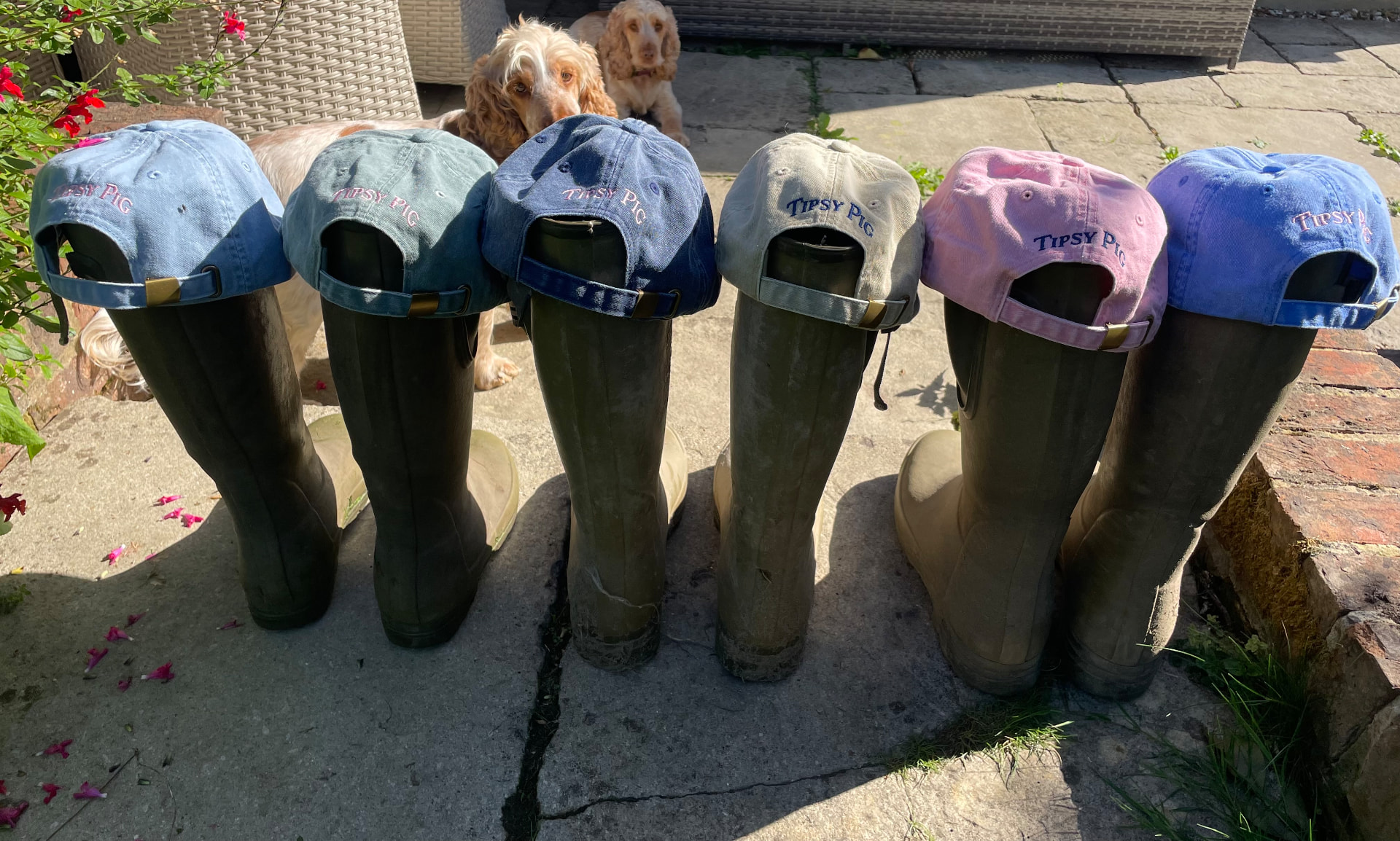 Washed Tipsy Pig caps on wellie boots with two spaniels watching