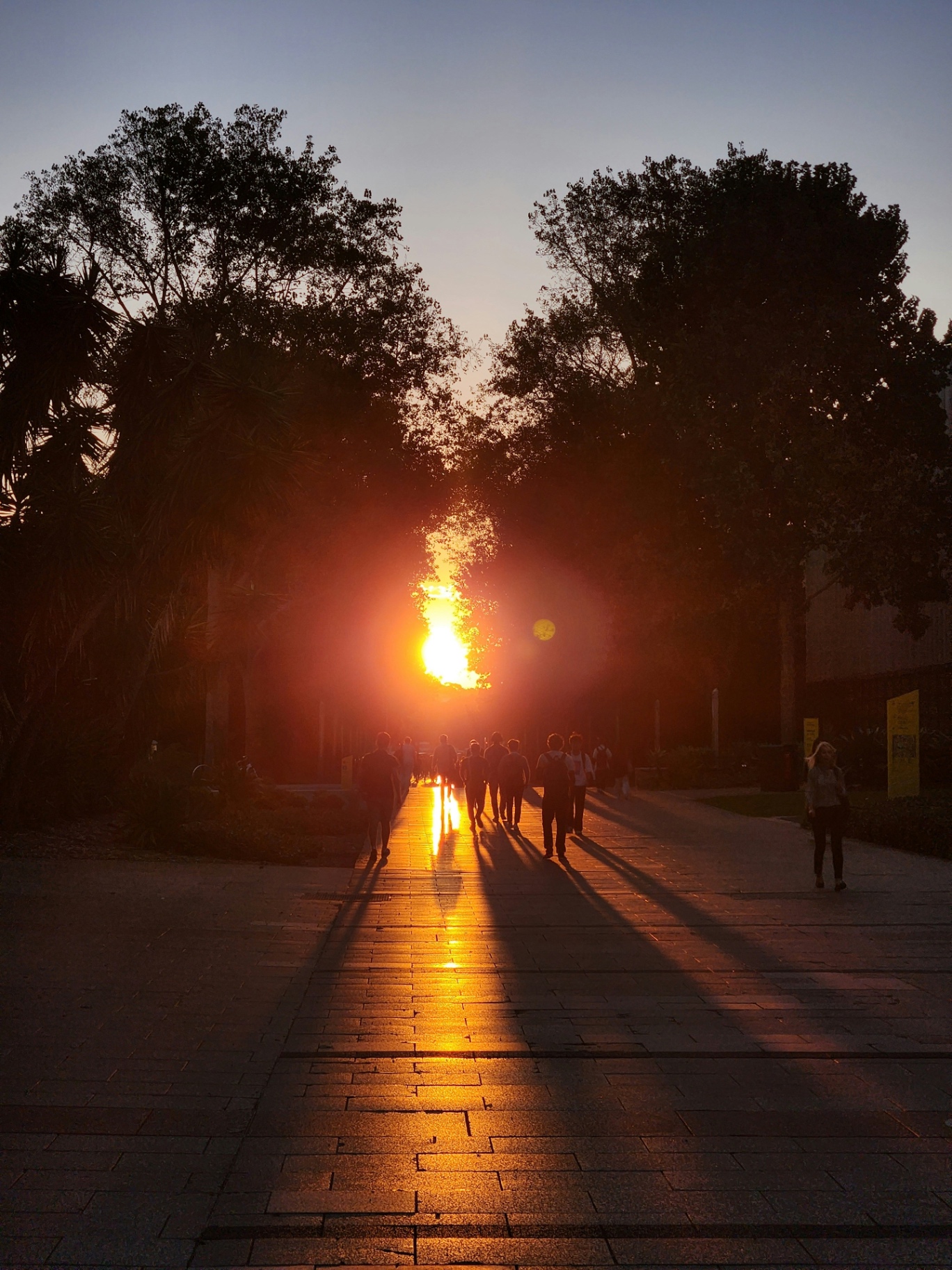 Students walking across campus at sunrise